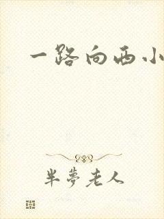 一路向西小说