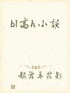 bl高h小说