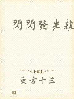 闪闪发光亲情会