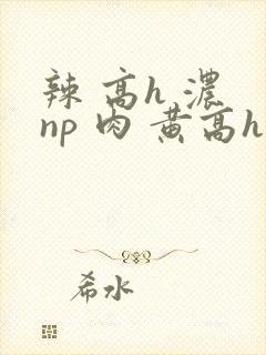 辣 高h 浓 np 肉 黄高h