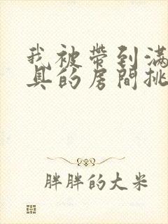 我被带到满是玩具的房间挑调游戏