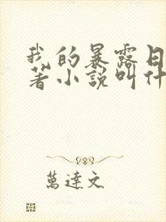 我的暴露日记原著小说叫什么