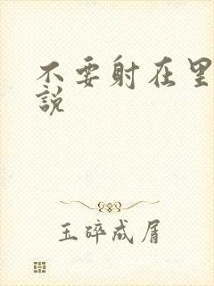 不要射在里面小说