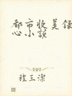 都市收美录宁素心小说