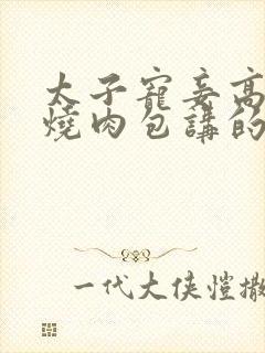 太子宠妾高肉红烧肉包讲的什么