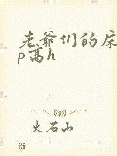 老爷们的床奴np高h