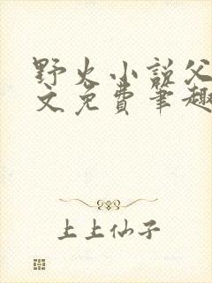 野火小说父女全文免费笔趣阁