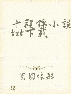 十段锦小说全本txt下载