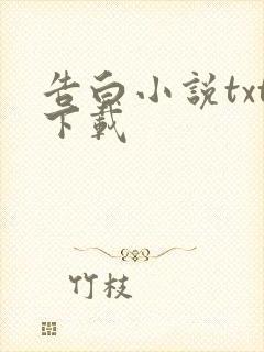 告白小说txt下载