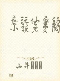 亵玩仙尊的道侣小说免费阅读