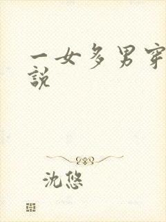一女多男穿越小说