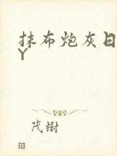 抹布炮灰日记BY