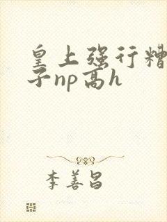 皇上强行糟蹋太子np高h