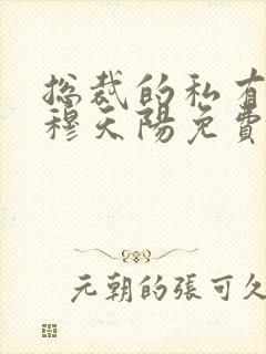 总裁的私有宝贝穆天阳免费