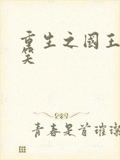 重生之国王的微笑