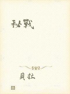 秘战