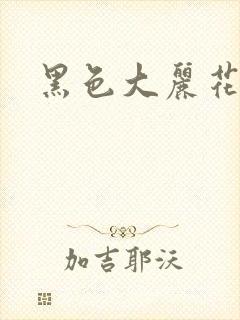 黑色大丽花图片