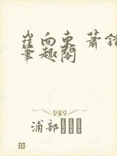 崔向东 萧错 笔趣阁