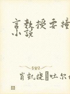 言教授要撞坏了小说