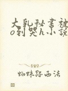 大乳秘书被cao到哭h小说