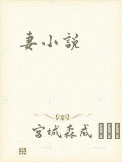 妻小说