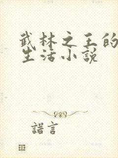 武林之王的退隐生活小说