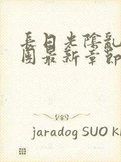 长日光阴乱作一团最新章节全文