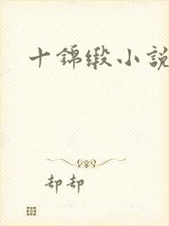 十锦缎小说