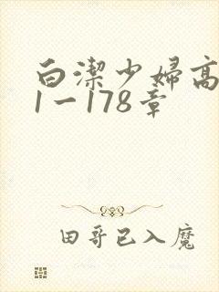 白洁少妇高义第1一178章