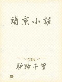 兰京小说
