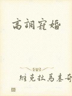 高调宠婚