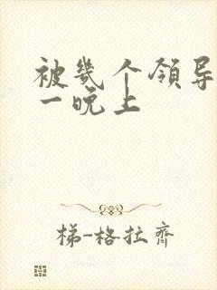 被几个领导玩弄一晚上