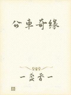公车奇缘