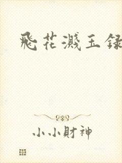 飞花溅玉录