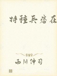 特种兵痞在都市