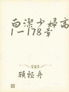 白洁少妇高义第1一178章