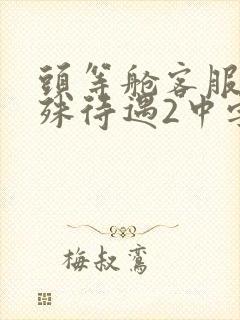 头等舱客服的特殊待遇2中字