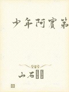 少年阿宾第二部