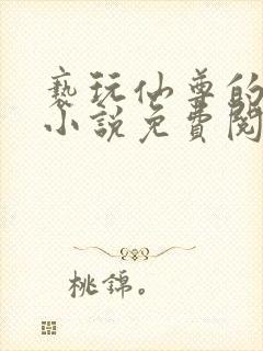 亵玩仙尊的道侣小说免费阅读