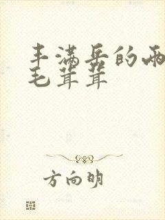 丰满岳的两腿间毛茸茸