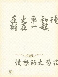 在火车和后妈妈谁在一起