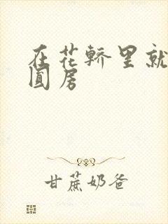 在花轿里就开始圆房