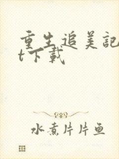 重生追美记txt下载