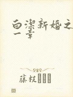 白洁新婚之夜第一章