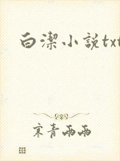 白洁小说txt