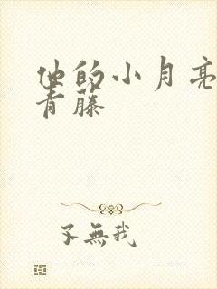 他的小月亮by青藤