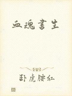 血魂书生