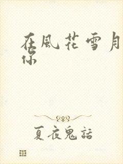 在风花雪月里等你