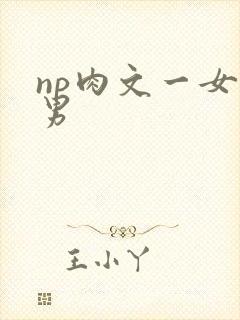 np肉文一女多男