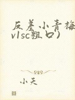 反差小青梅(1v1sc粗口)